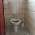 Un bagno stretto con wc tradizionale e carta da parati a motivi, privo di corrimano